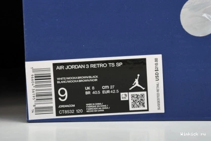 Jordan Scott x “Palomino” Air Travis 3 0928